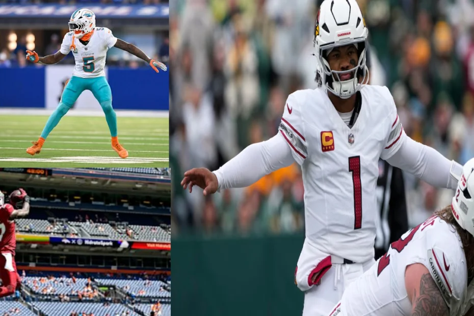 cardinals vs dolphins